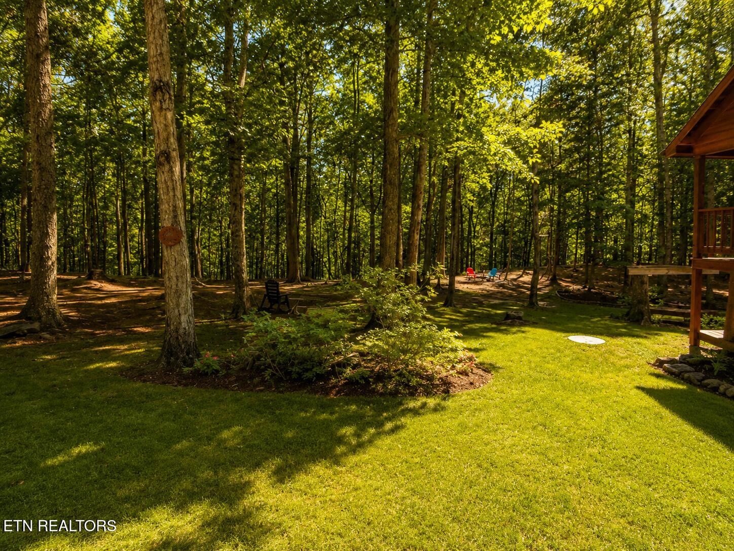 737 Edd Linder Road Jamestown, TN 38556 - Photo 55 of 57 20260525_191417888_iOS