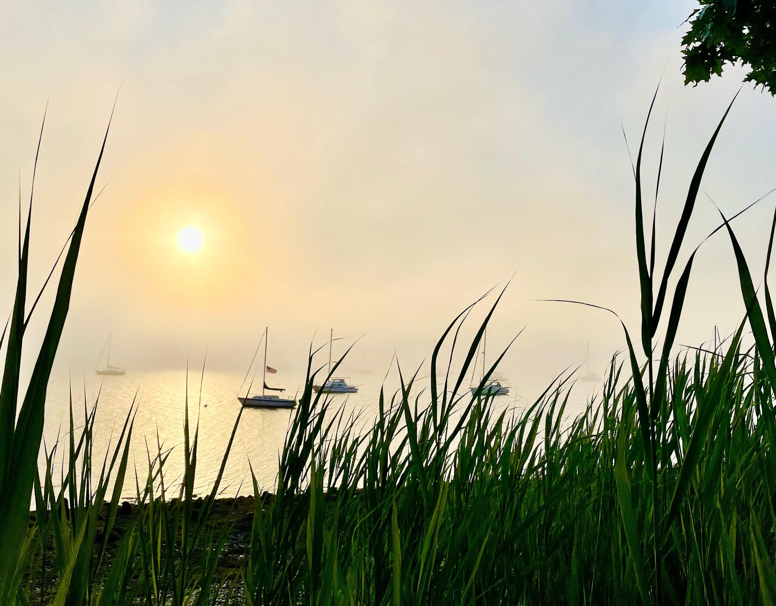 531 Cape Jellison Road Stockton Springs, ME 04981 - Photo 17 of 18 boats