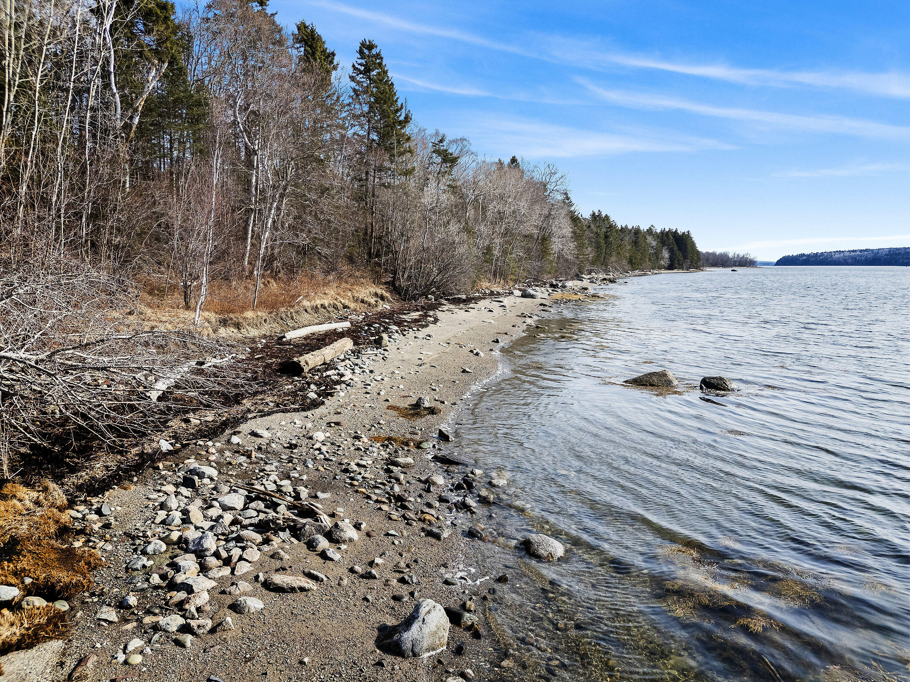 531 Cape Jellison Road Stockton Springs, ME 04981 - Photo 3 of 18 shoreline 4