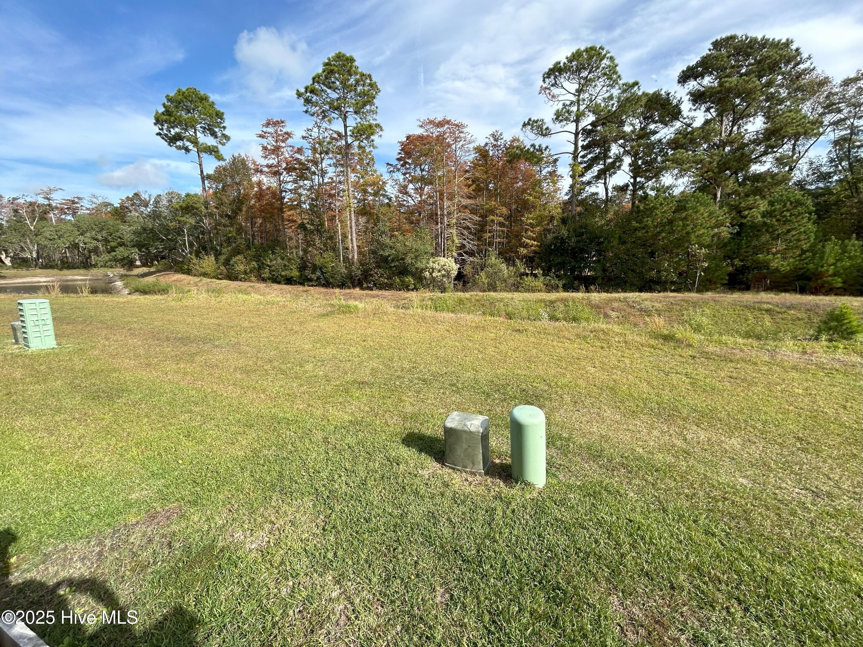 84 Aspen Road Hampstead, NC 28443 - Photo 28 of 28 Pond view