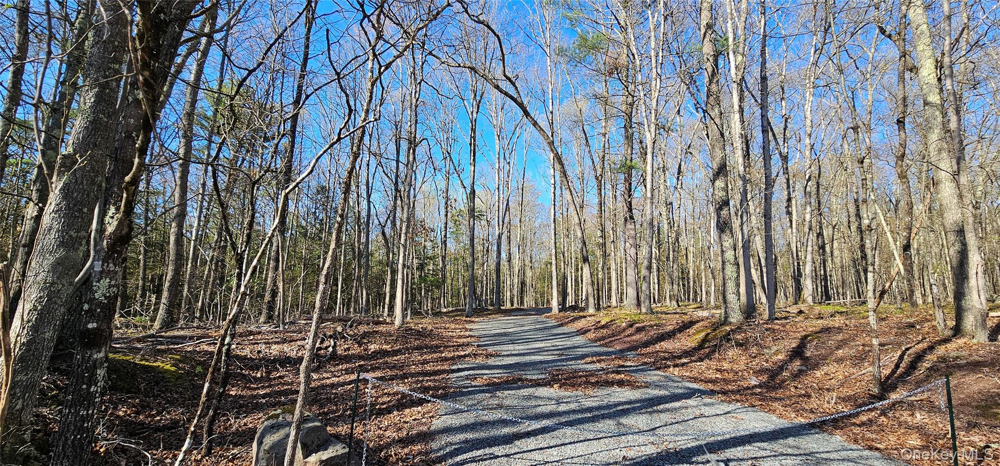 Lot 85 Perry Pond Road Narrowsburg, NY 12764 - Photo 1 of 1 a view of a backyard