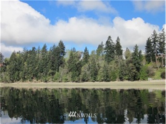 0 Crescent Valley Road Southeast Olalla, WA 98359 - Photo 1 of 11 Gallery Image 1