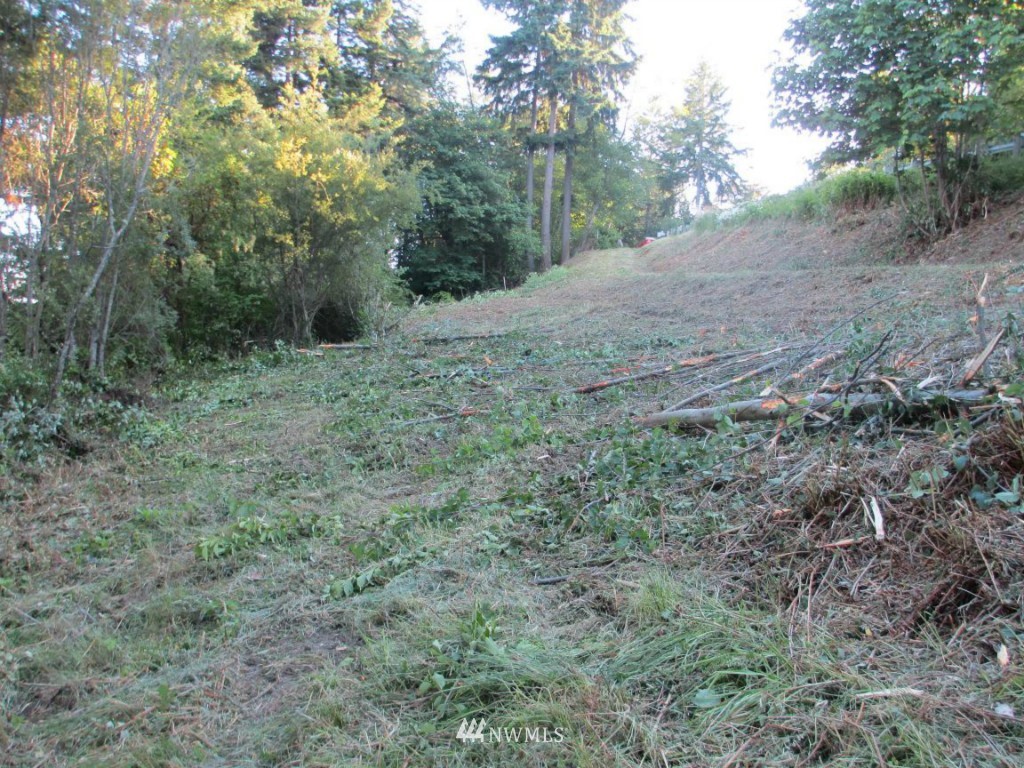 0 Crescent Valley Road Southeast Olalla, WA 98359 - Photo 6 of 11 Gallery Image 6
