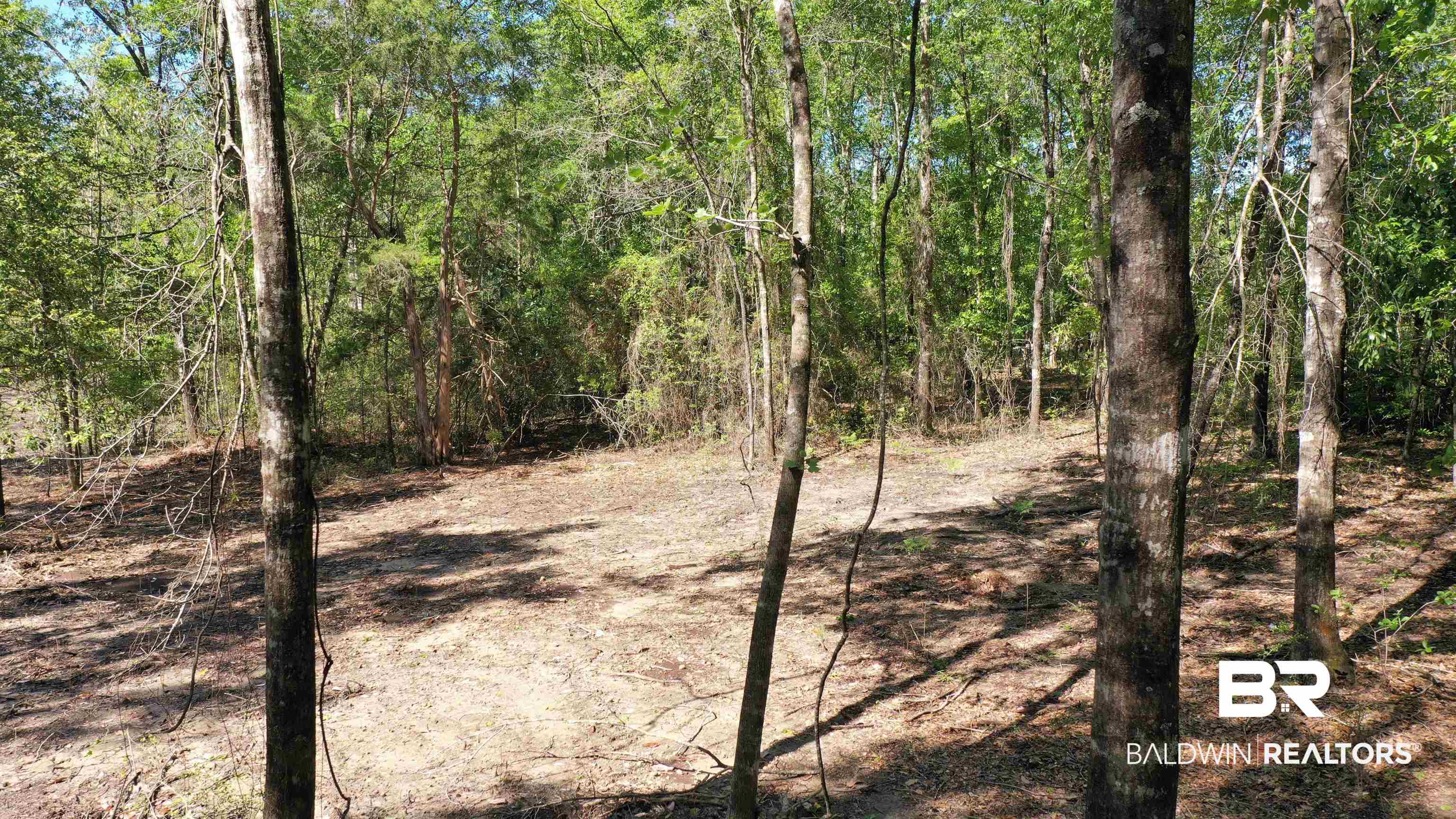 3 Brookwood Road Atmore, AL 36502 - Photo 4 of 15