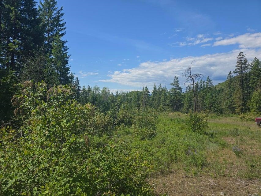 3715 Hill Loop Road Kettle Falls, WA 99141 - Photo 11 of 13