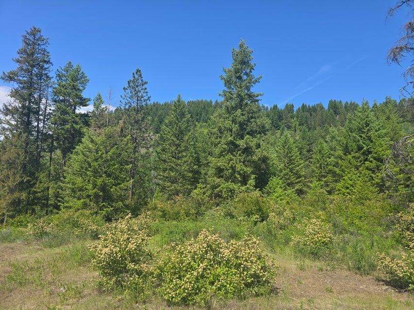 3715 Hill Loop Road Kettle Falls, WA 99141 - Photo 12 of 13