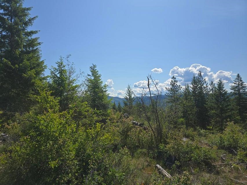 3715 Hill Loop Road Kettle Falls, WA 99141 - Photo 13 of 13