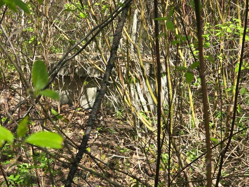 3715 Hill Loop Road Kettle Falls, WA 99141 - Photo 2 of 13