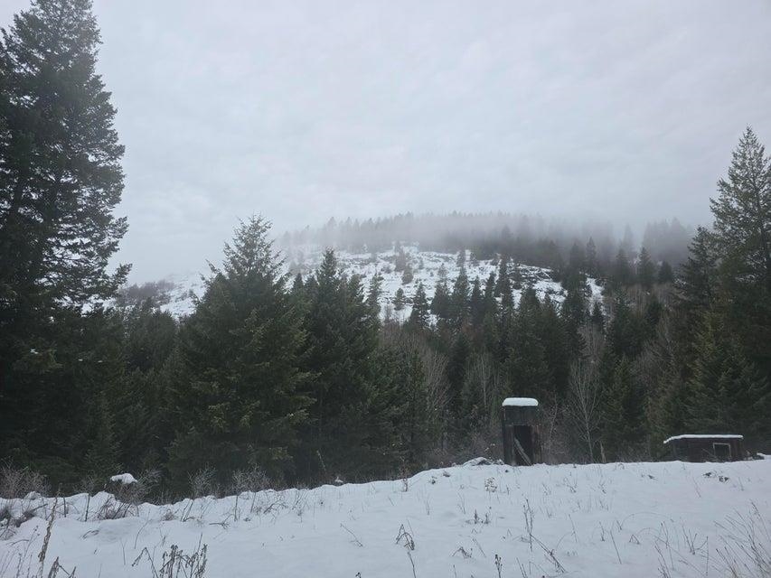 3715 Hill Loop Road Kettle Falls, WA 99141 - Photo 7 of 13