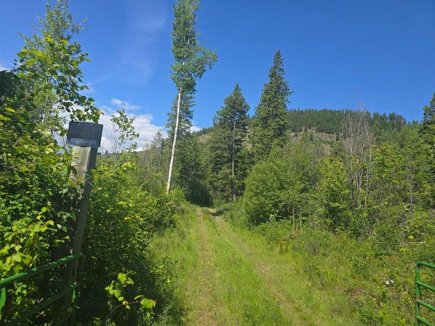 3715 Hill Loop Road Kettle Falls, WA 99141 - Photo 9 of 13