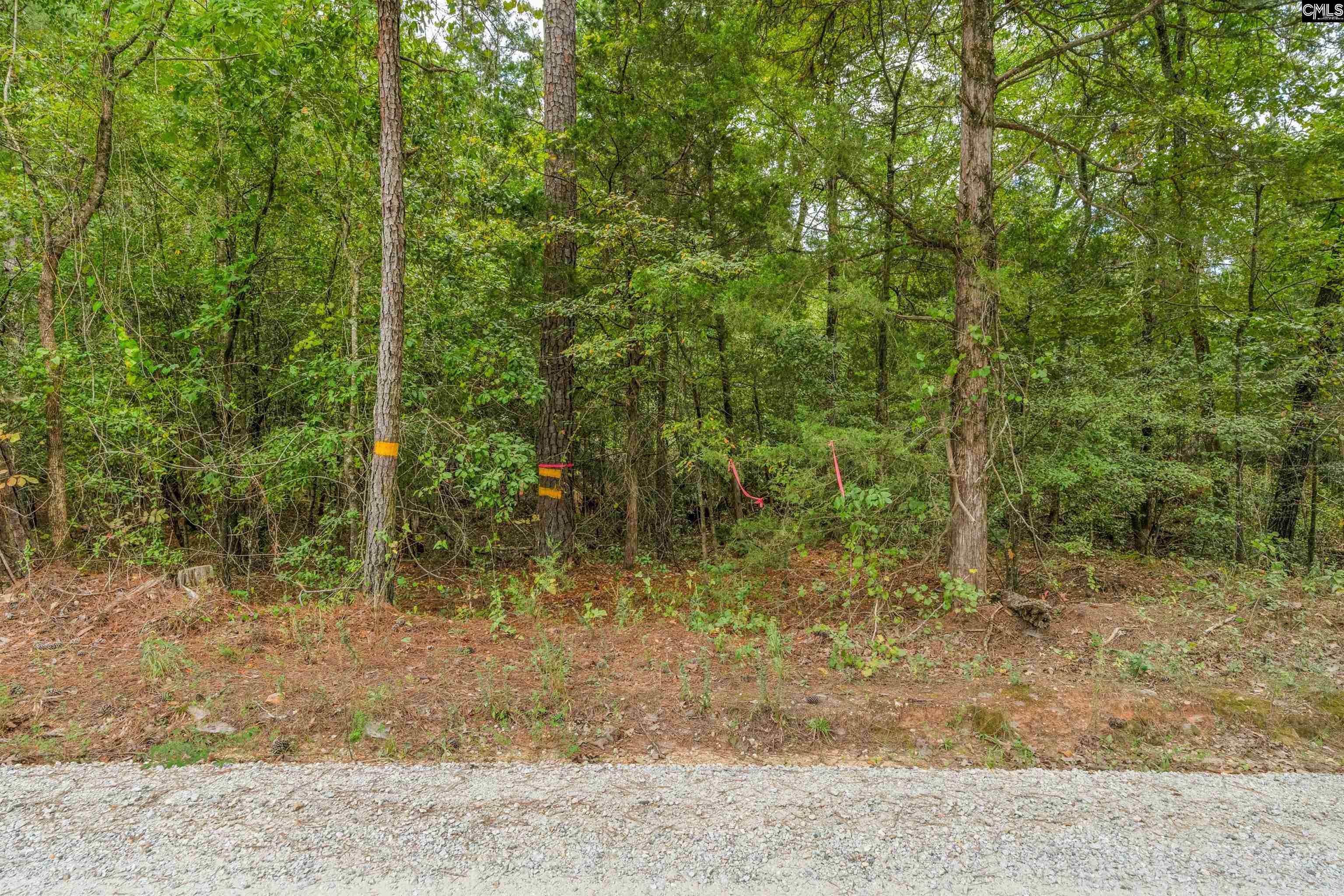 0 Penner Road, Unit 10 Jenkinsville, SC 29065 - Photo 27 of 43
