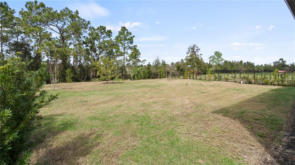 2116 Limestone Trail Kissimmee, FL 34747 - Photo 47 of 99