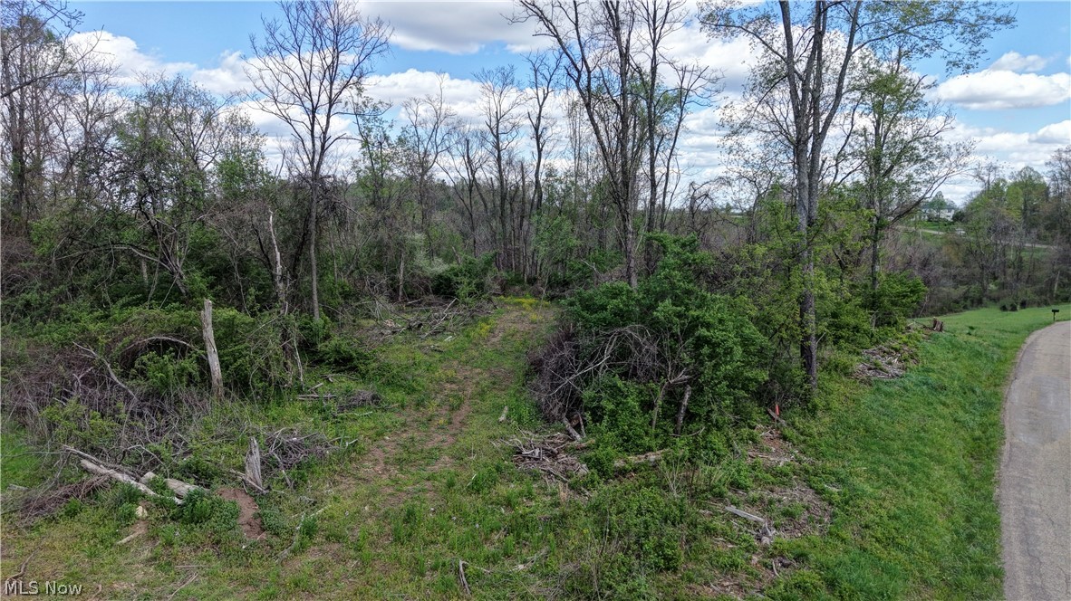 Deersville Ridge Road Cadiz, OH 43907 - Photo 4 of 41