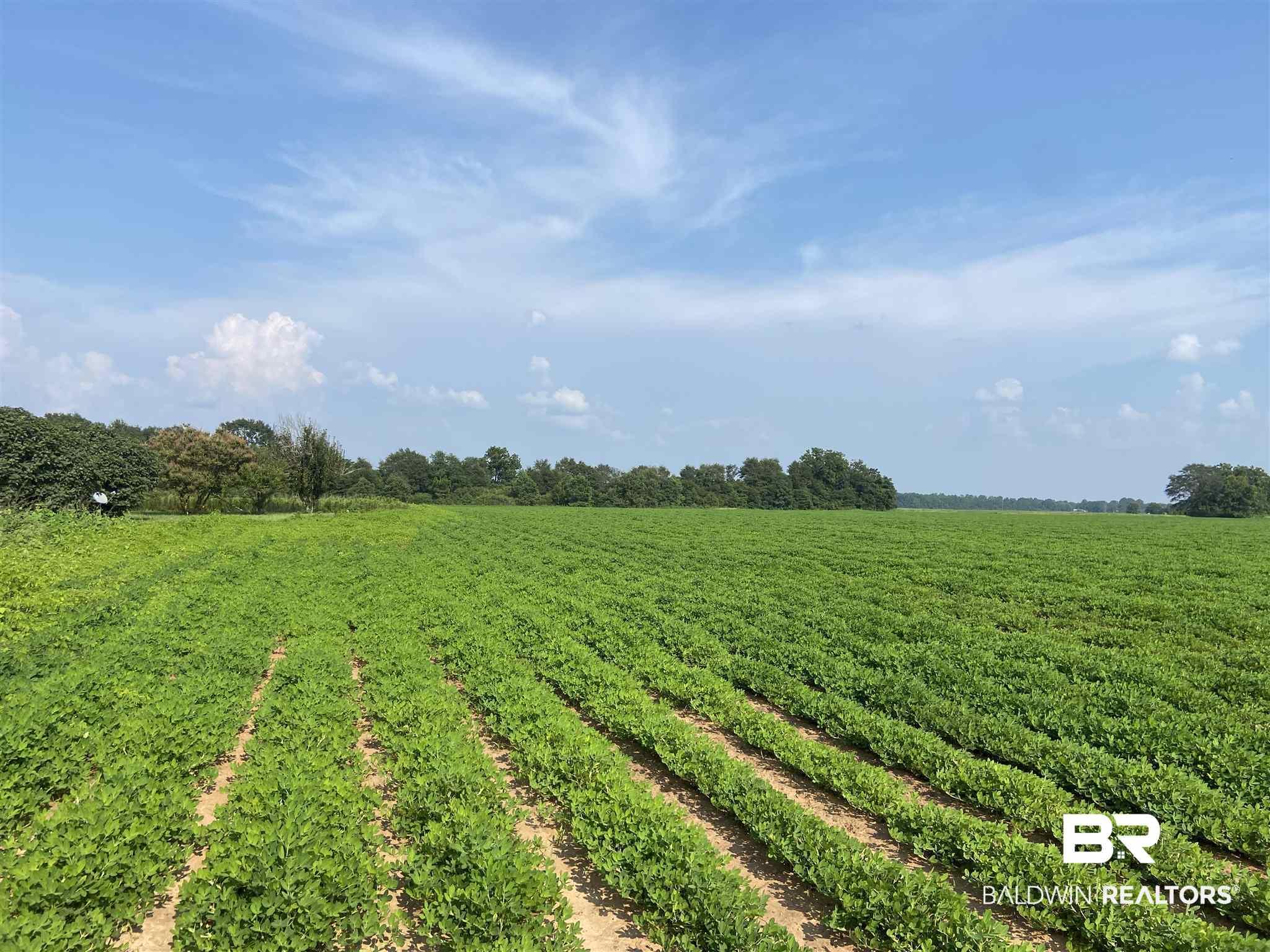 21 Highway 21 Atmore, AL 36502 - Photo 1 of 19