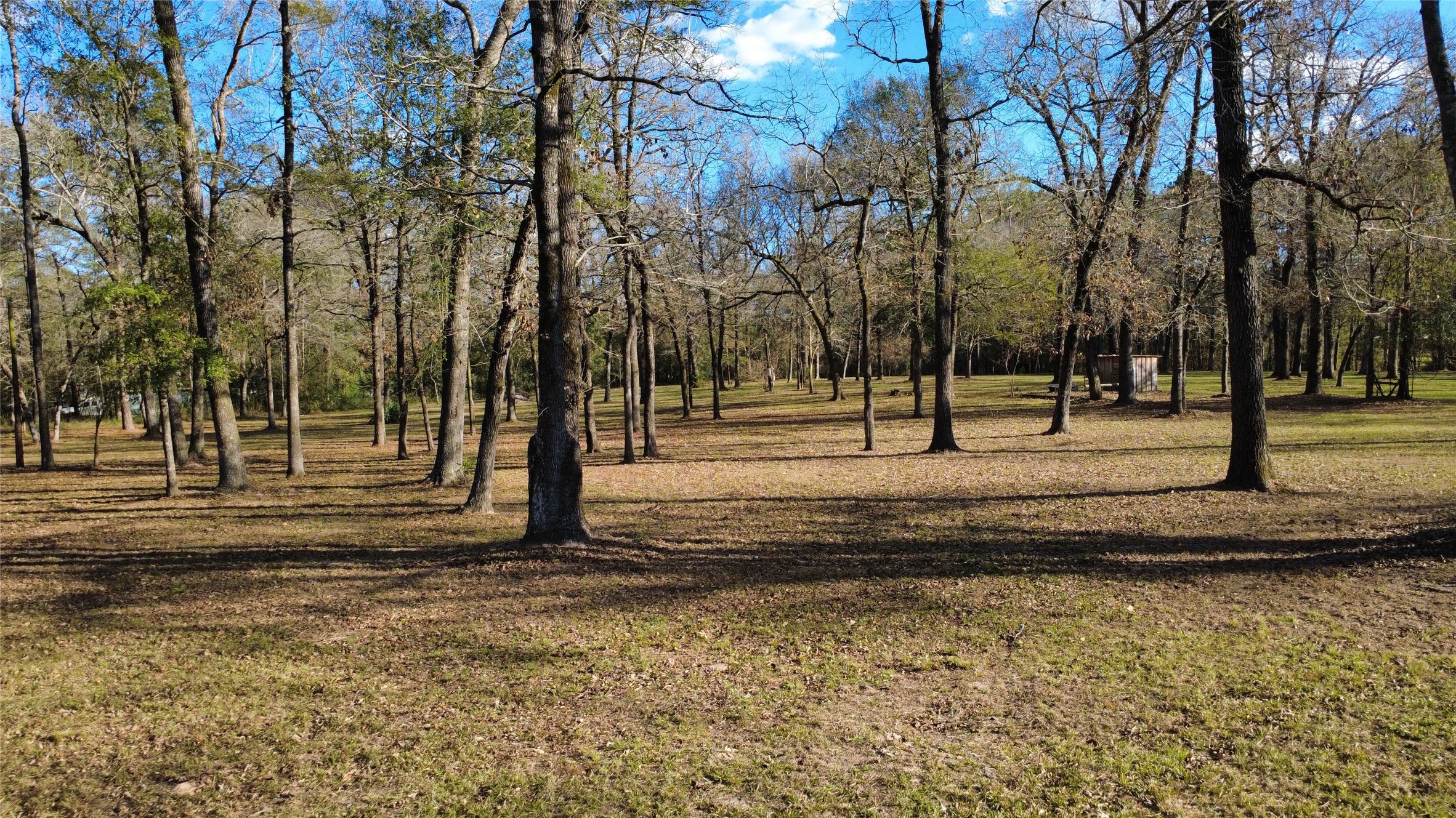 41111 Sandy Hill Road Montgomery, TX 77316 - Photo 5 of 11