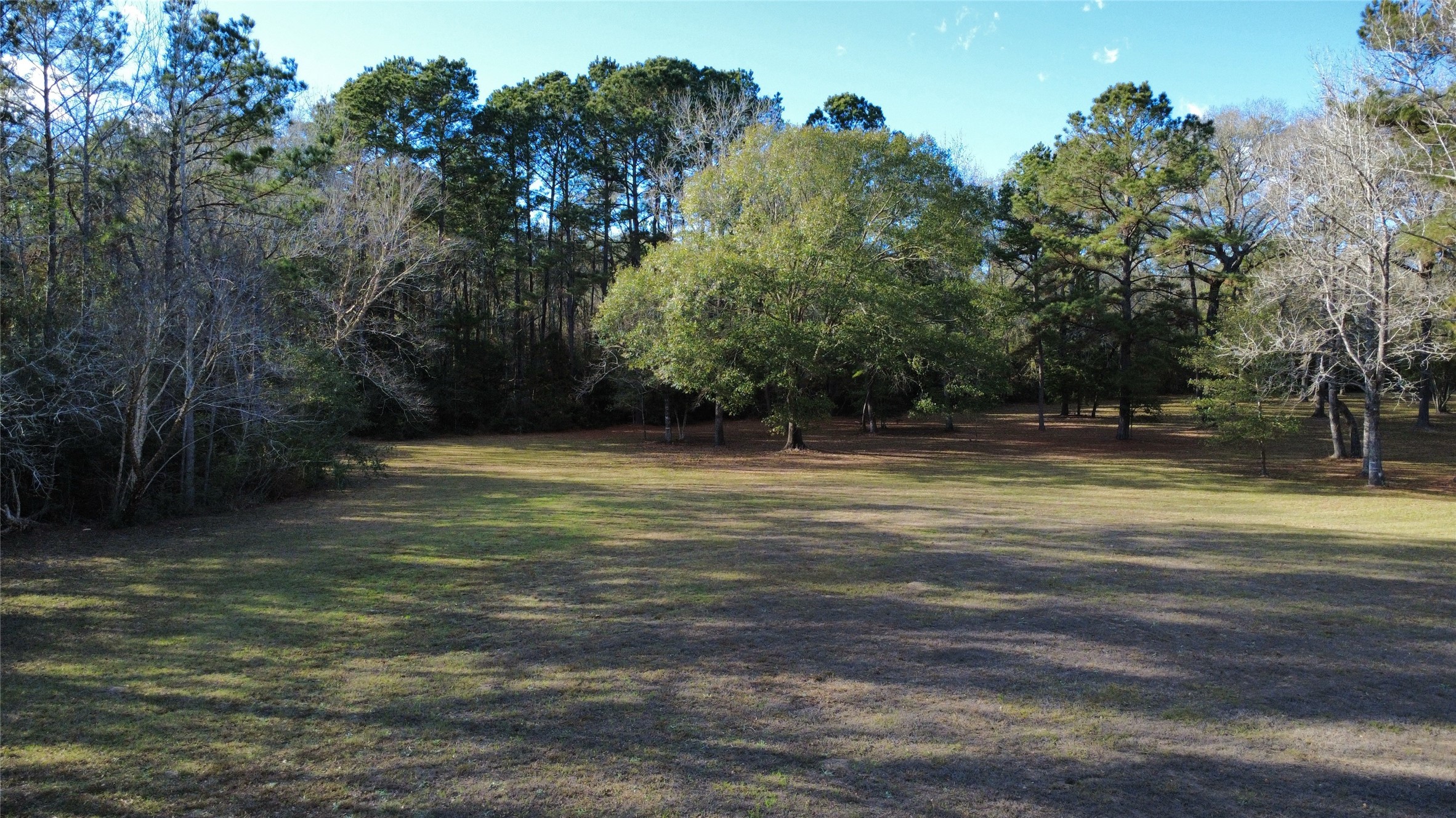 41111 Sandy Hill Road Montgomery, TX 77316 - Photo 7 of 11