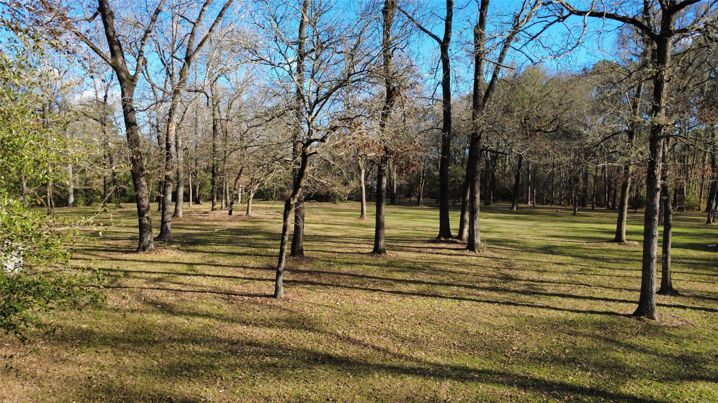 41111 Sandy Hill Road Montgomery, TX 77316 - Photo 9 of 11