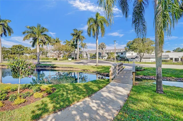 a view of a park with palm trees