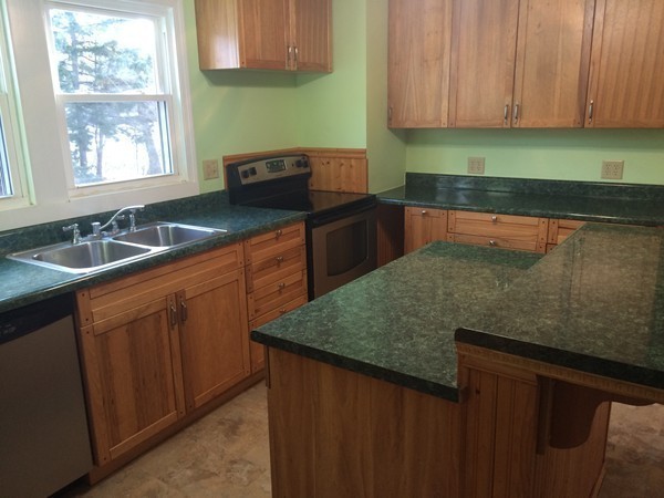 170 Goodwin Street Springfield, MA 01151 - Photo 4 of 28