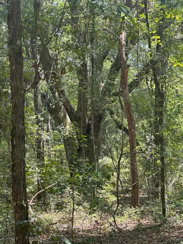 $296,480 | 0 Reddick Lane, Tallahassee, FL 32317