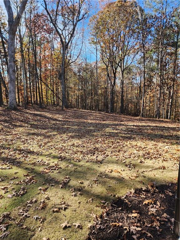 128 Ivey Trace Pendergrass, GA 30567 - Photo 21 of 57 a view of a yard with a large tree