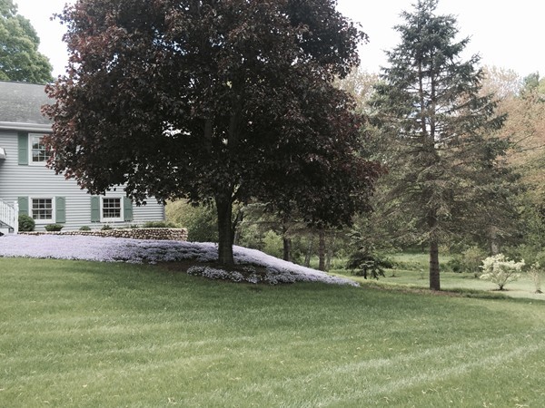 166 Groton Road Shirley, MA 01464 - Photo 3 of 29 a view of a house with a yard