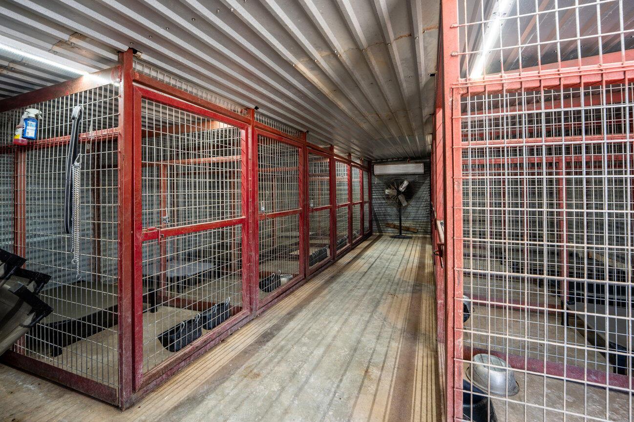 693 County Road 24 Muleshoe, TX 79347 - Photo 60 of 98 Kennel