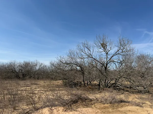 $564,900 | 1420 Barth Road, Dale, TX 78616