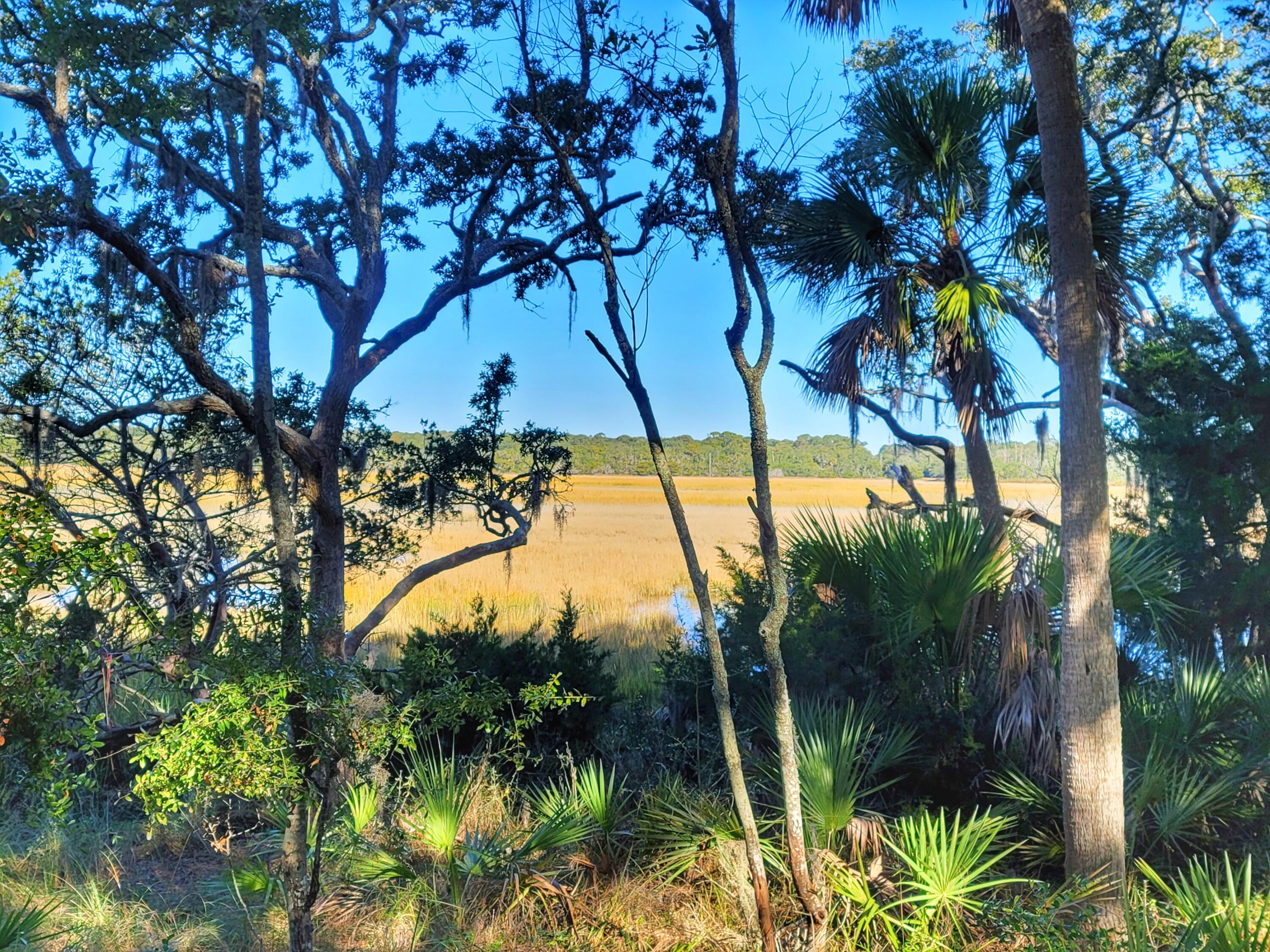121 Jungle Road Edisto Island, SC 29438 - Photo 3 of 11 121 Jungle Rd