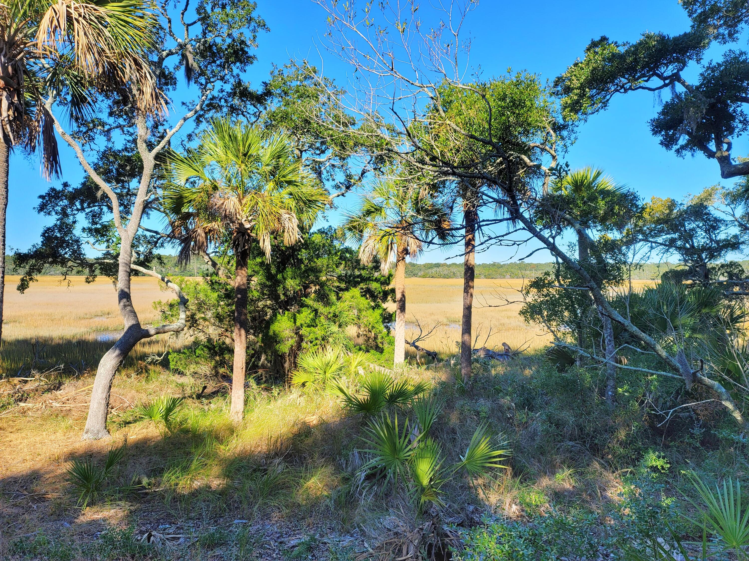 121 Jungle Road Edisto Island, SC 29438 - Photo 4 of 11 121 Jungle Rd