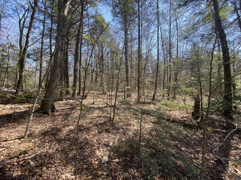 Lot 43 South Village Road Tolland, MA 01034 - Photo 2 of 7 a view of outdoor space with lots of trees