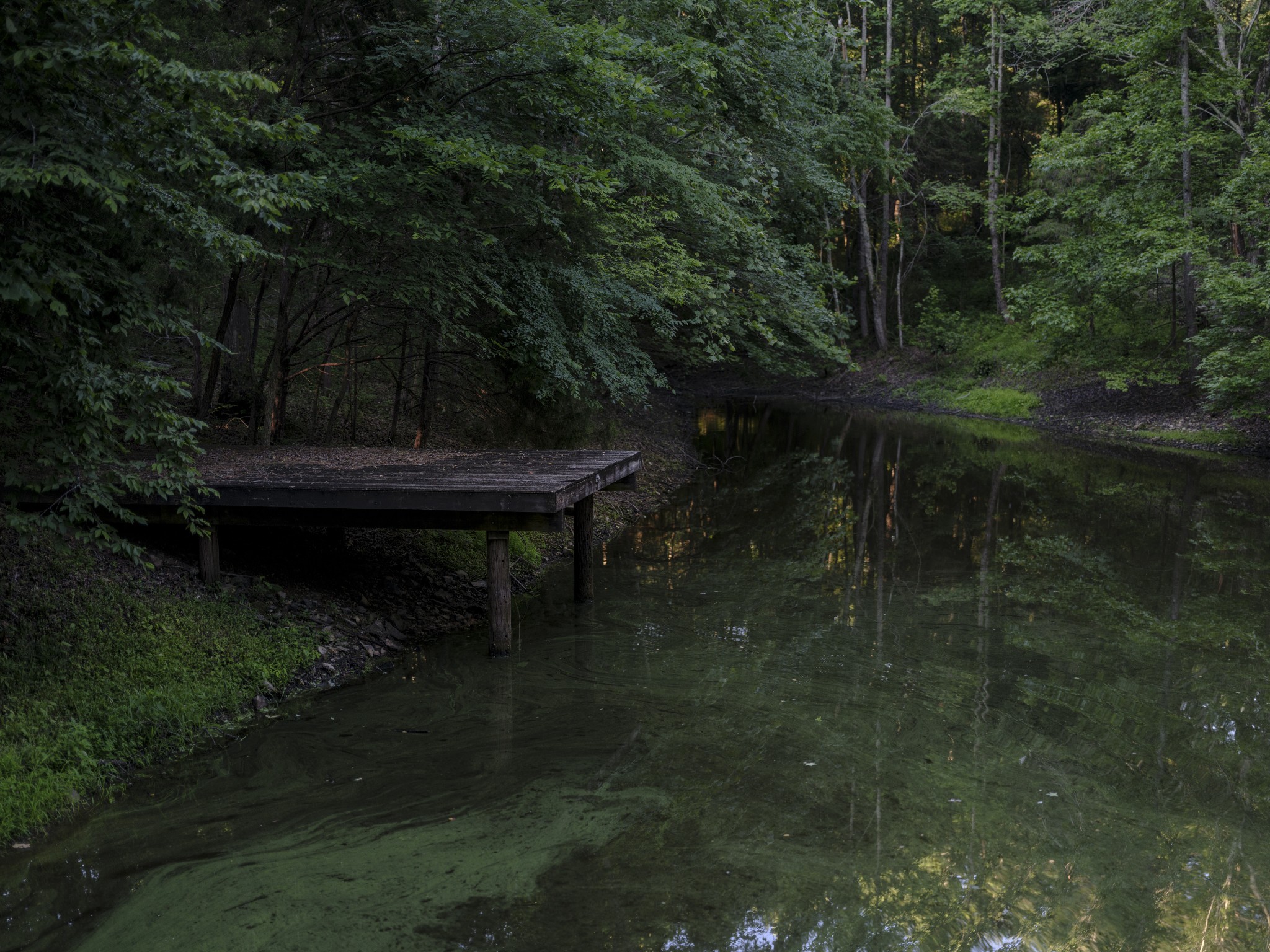 7725 Caney Fork Road Fairview, TN 37062 - Photo 47 of 59