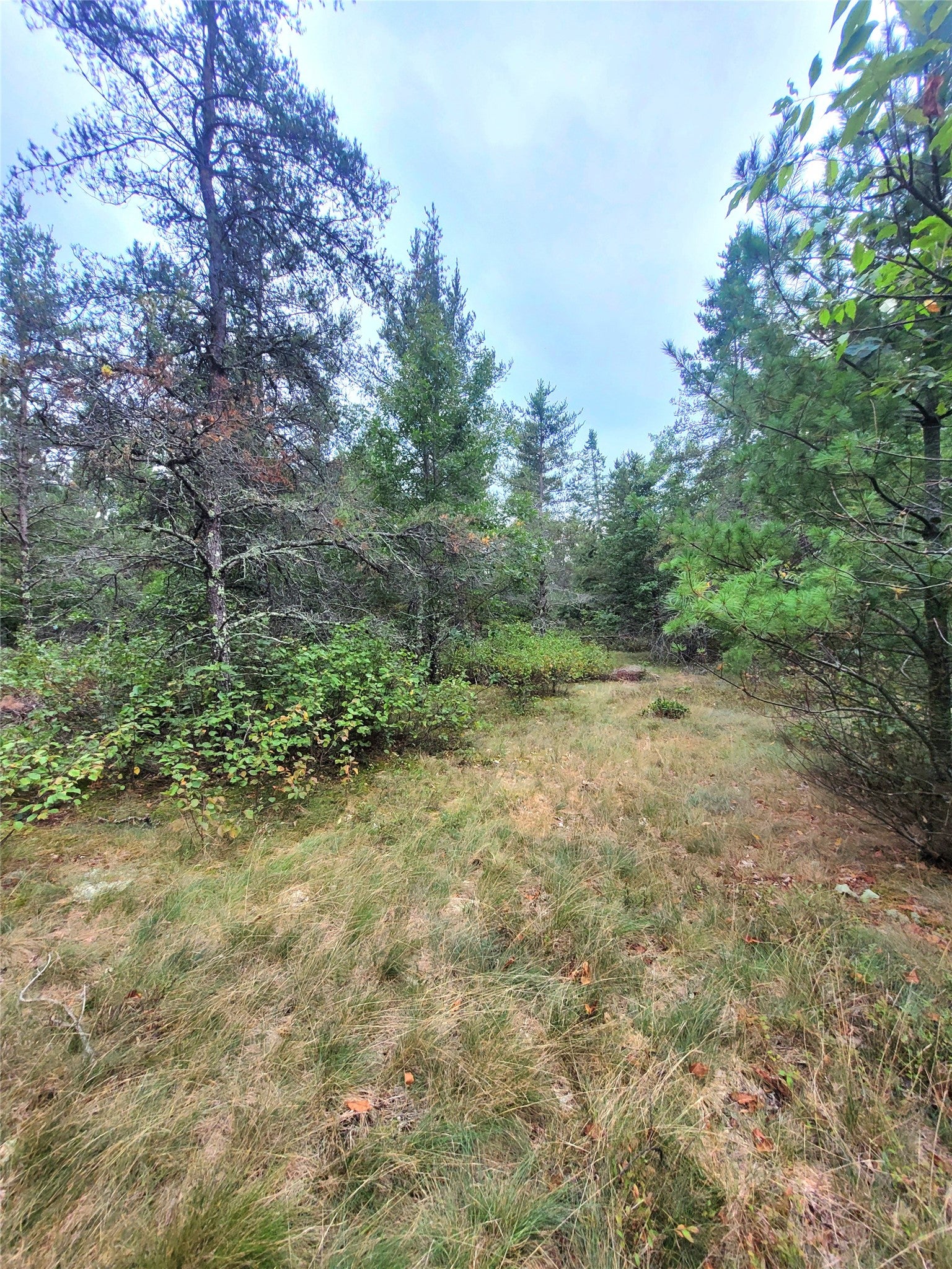 0 Blueberry Road Gordon, WI 54838 - Photo 17 of 35 Gallery Image 17