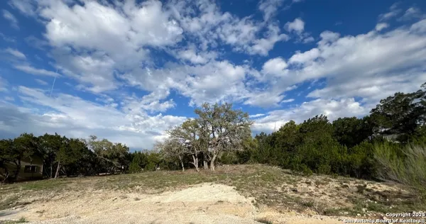 a view of a yard with large trees