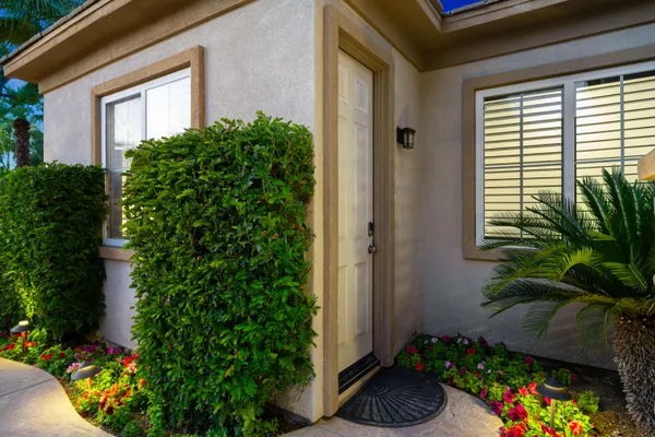 a view of a potted plants in front of a house
