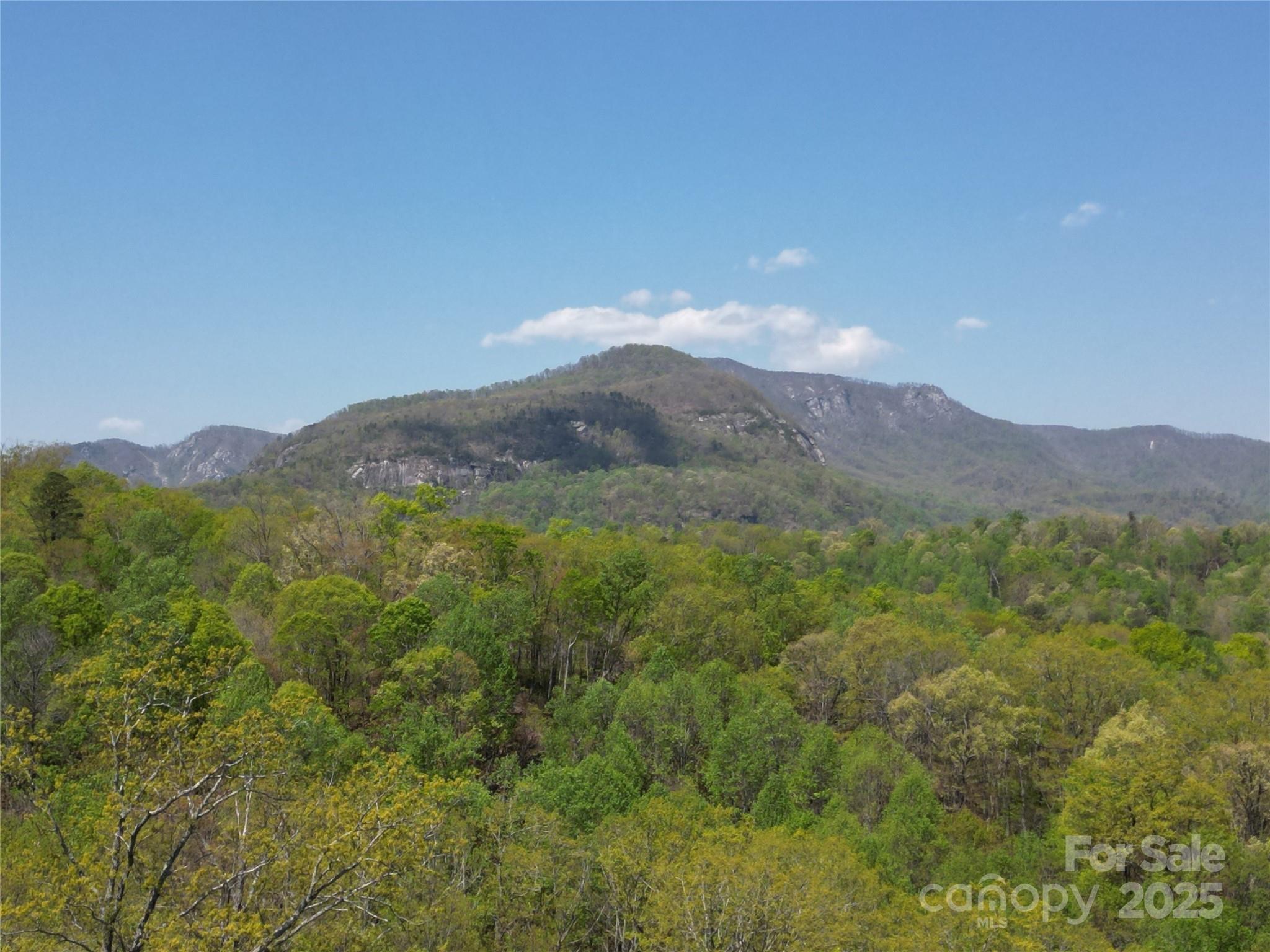 a view of a mountain range with lush green forest