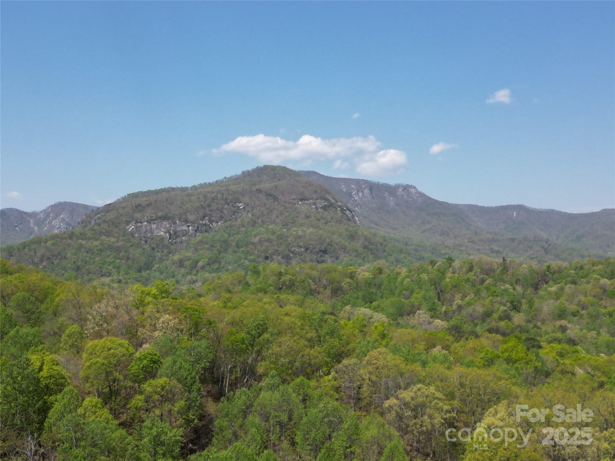 Lot 35 High Rock Ridge Lake Lure, NC 28746 - Photo 12 of 23 a view of a mountain range with lush green forest