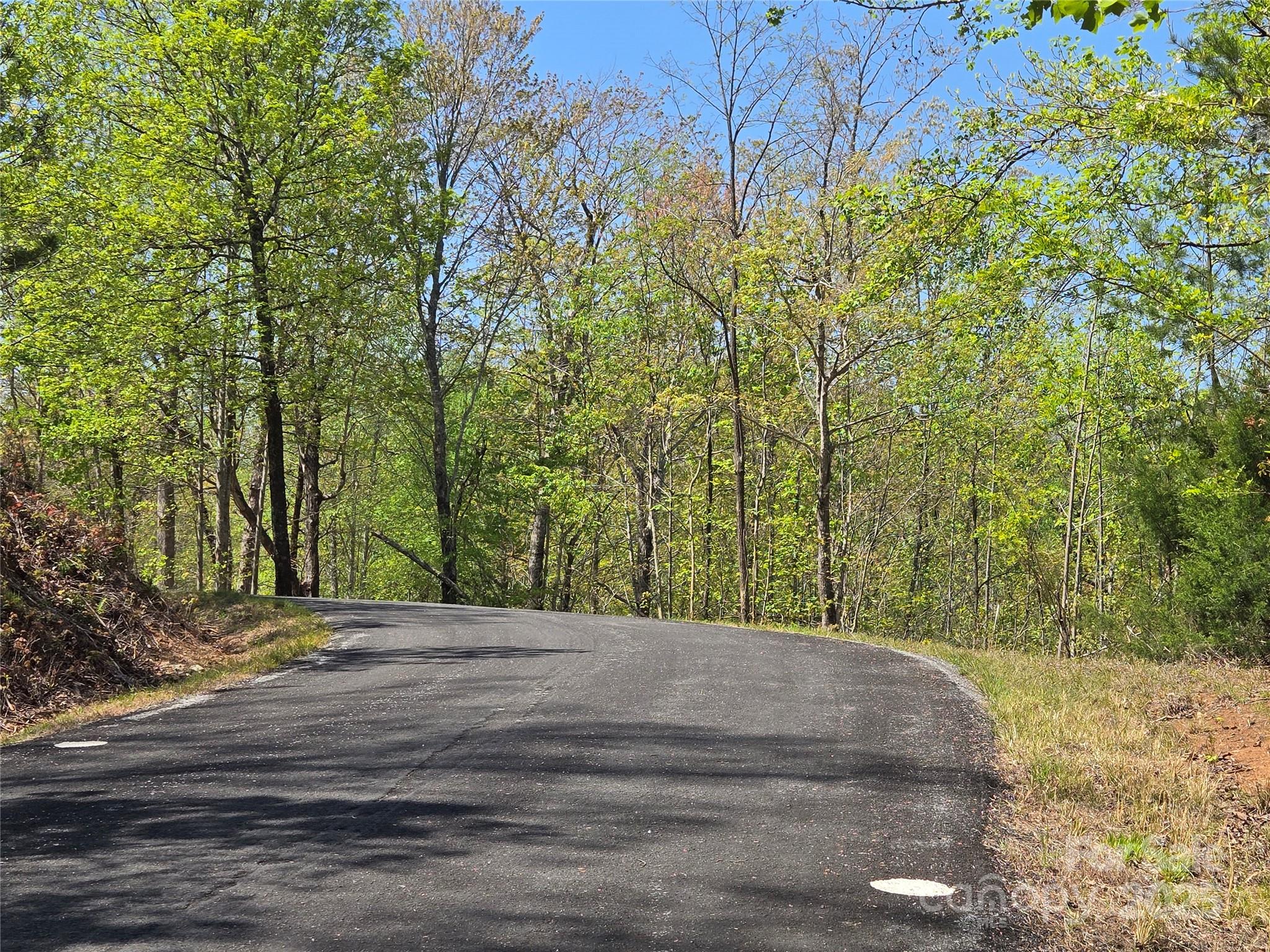 Lot 35 High Rock Ridge Lake Lure, NC 28746 - Photo 13 of 23 a view of a yard