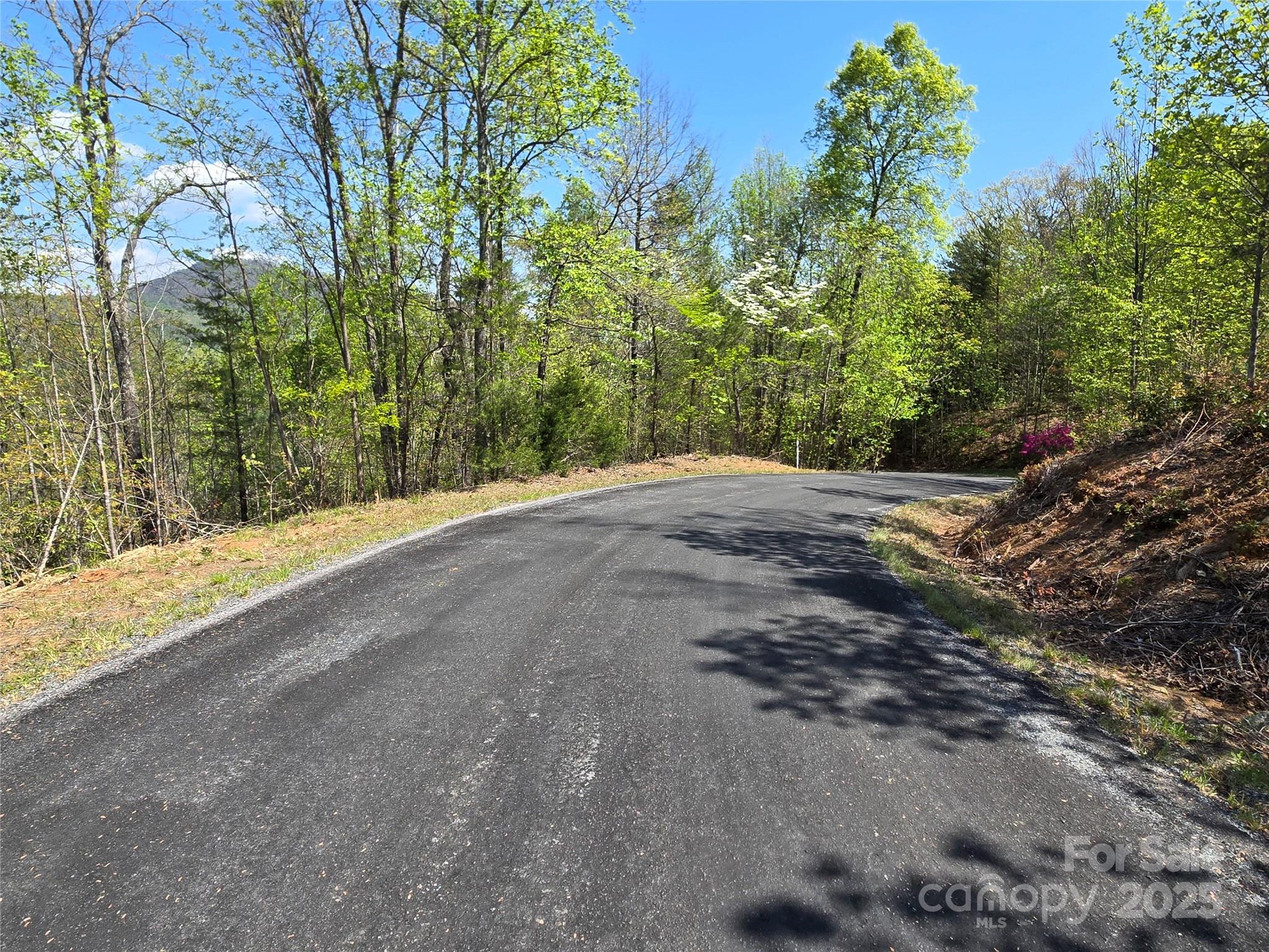 Lot 35 High Rock Ridge Lake Lure, NC 28746 - Photo 4 of 23 a view of a backyard of a house
