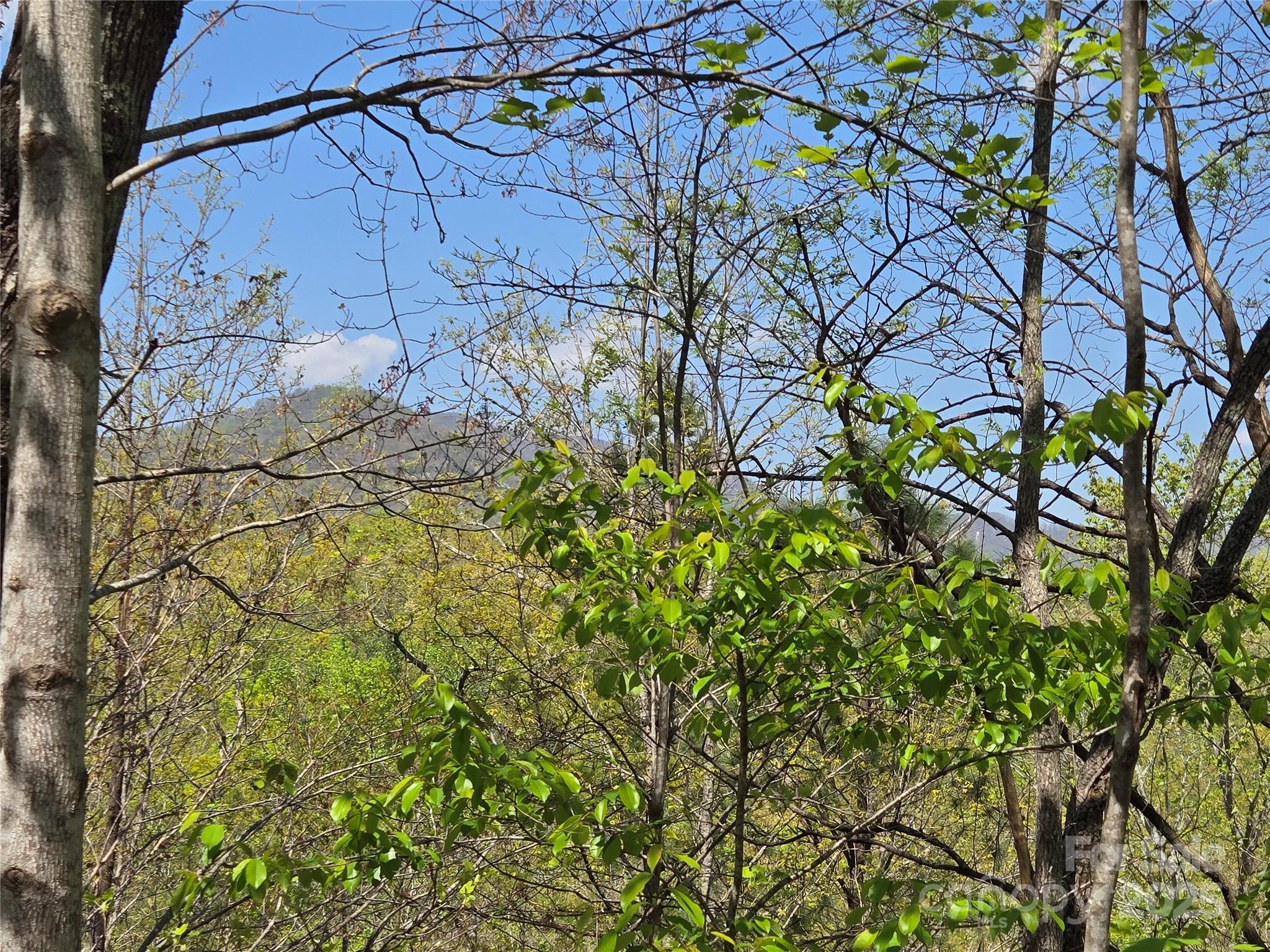 Lot 35 High Rock Ridge Lake Lure, NC 28746 - Photo 5 of 23 a view of a tree with a yard