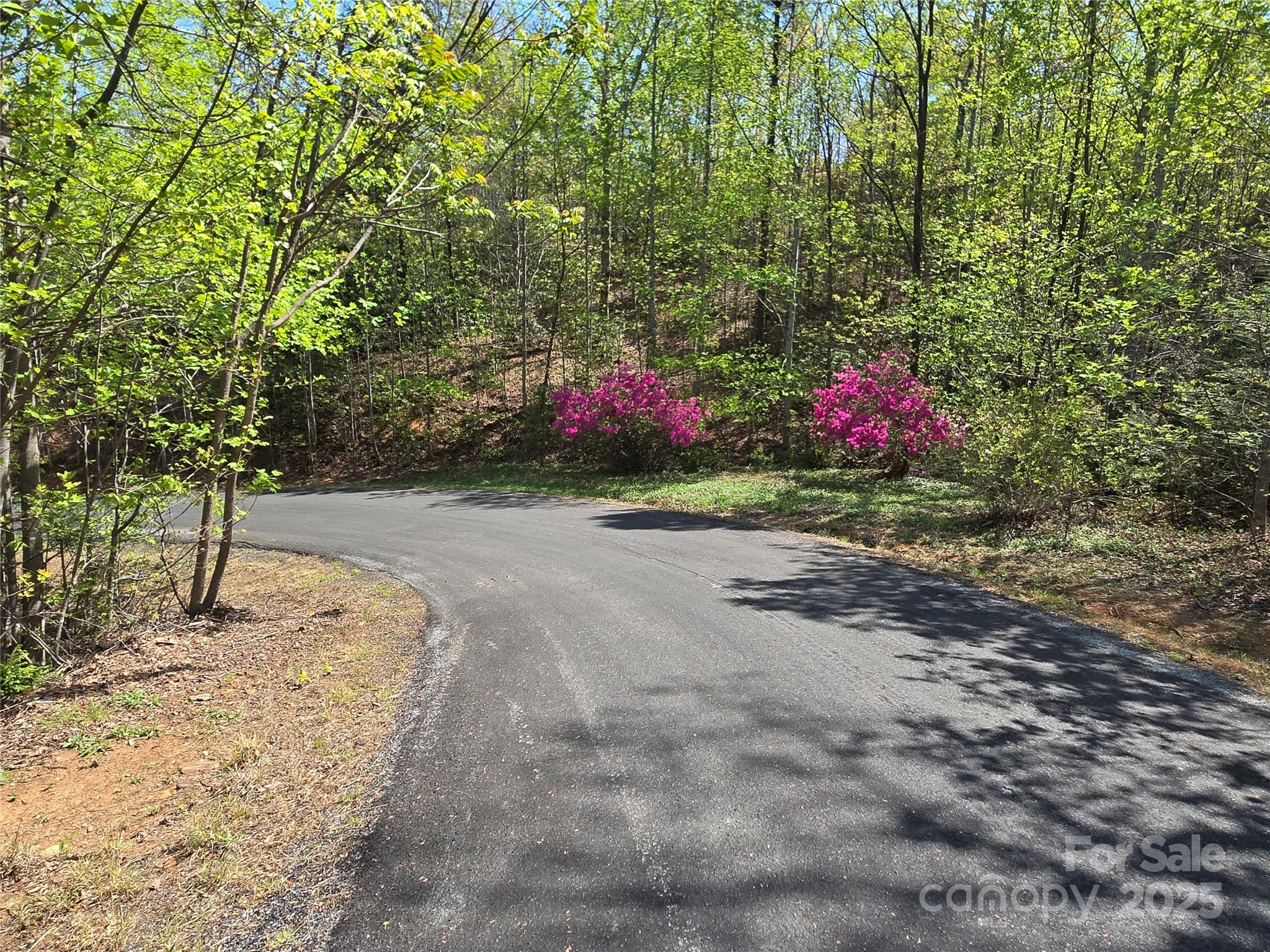 Lot 35 High Rock Ridge Lake Lure, NC 28746 - Photo 6 of 23 a backyard of a house with a tree