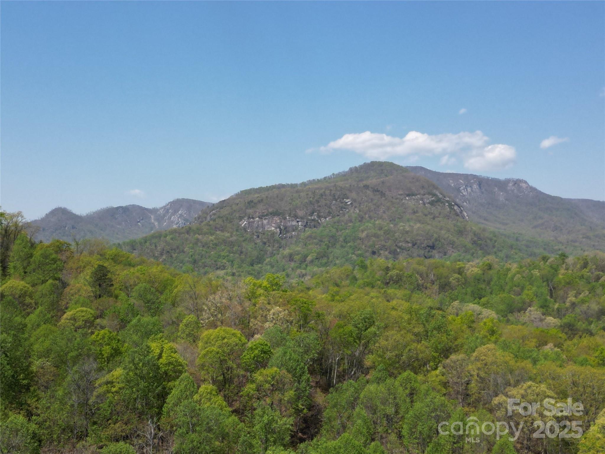Lot 35 High Rock Ridge Lake Lure, NC 28746 - Photo 10 of 23 a view of a mountain range with trees in the background