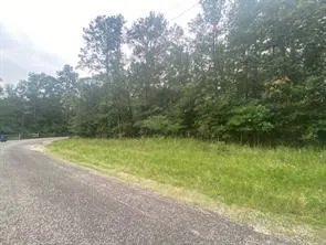 a view of a field with trees in the background