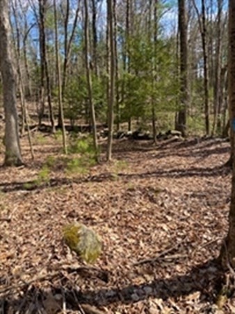 279 Holland Road Sturbridge, MA 01518 - Photo 4 of 7 a view of outdoor space with green space