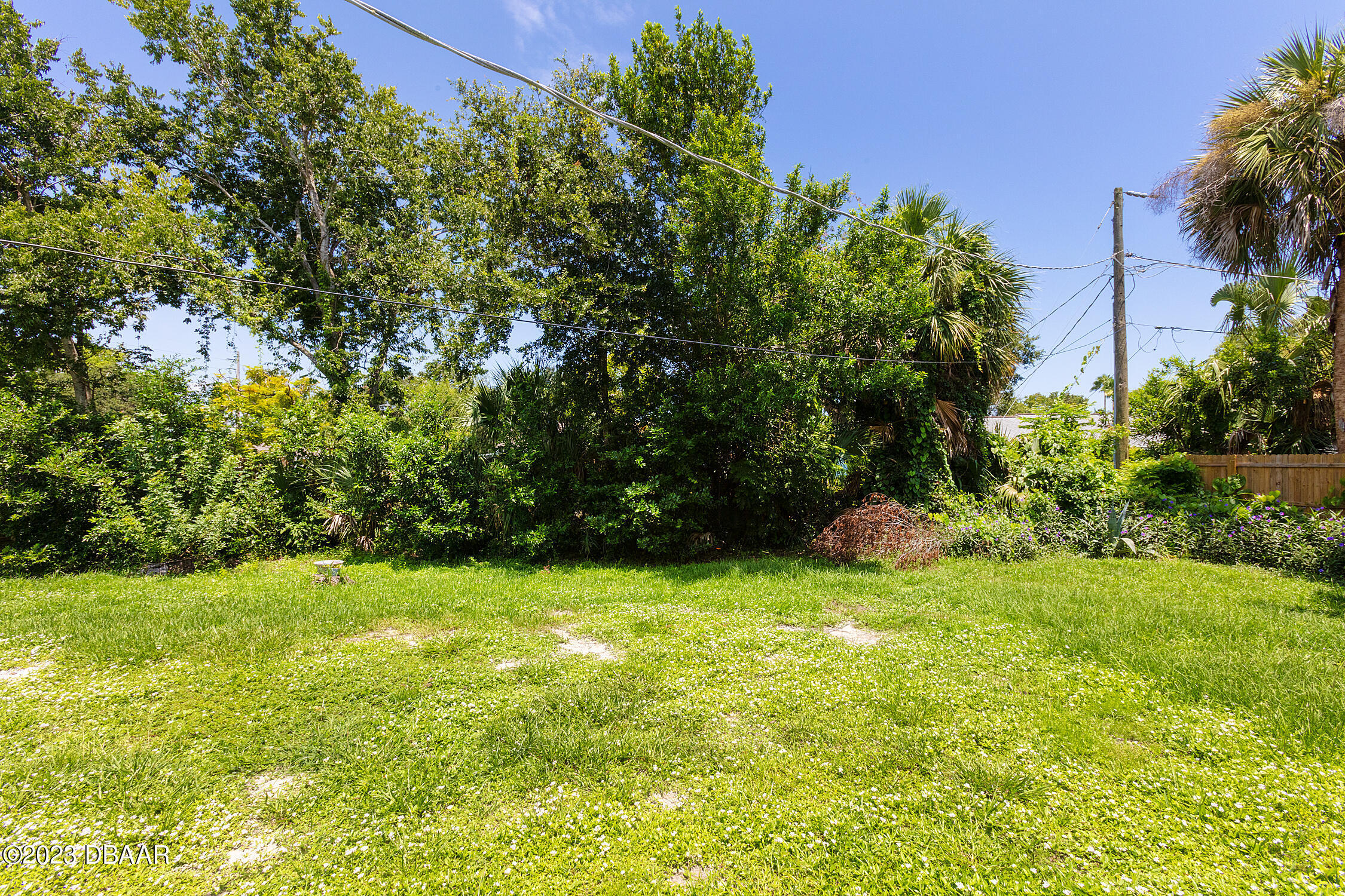 489 Wiltshire Boulevard Port Orange, FL 32127 - Photo 10 of 40 a view of a big yard with plants and large trees
