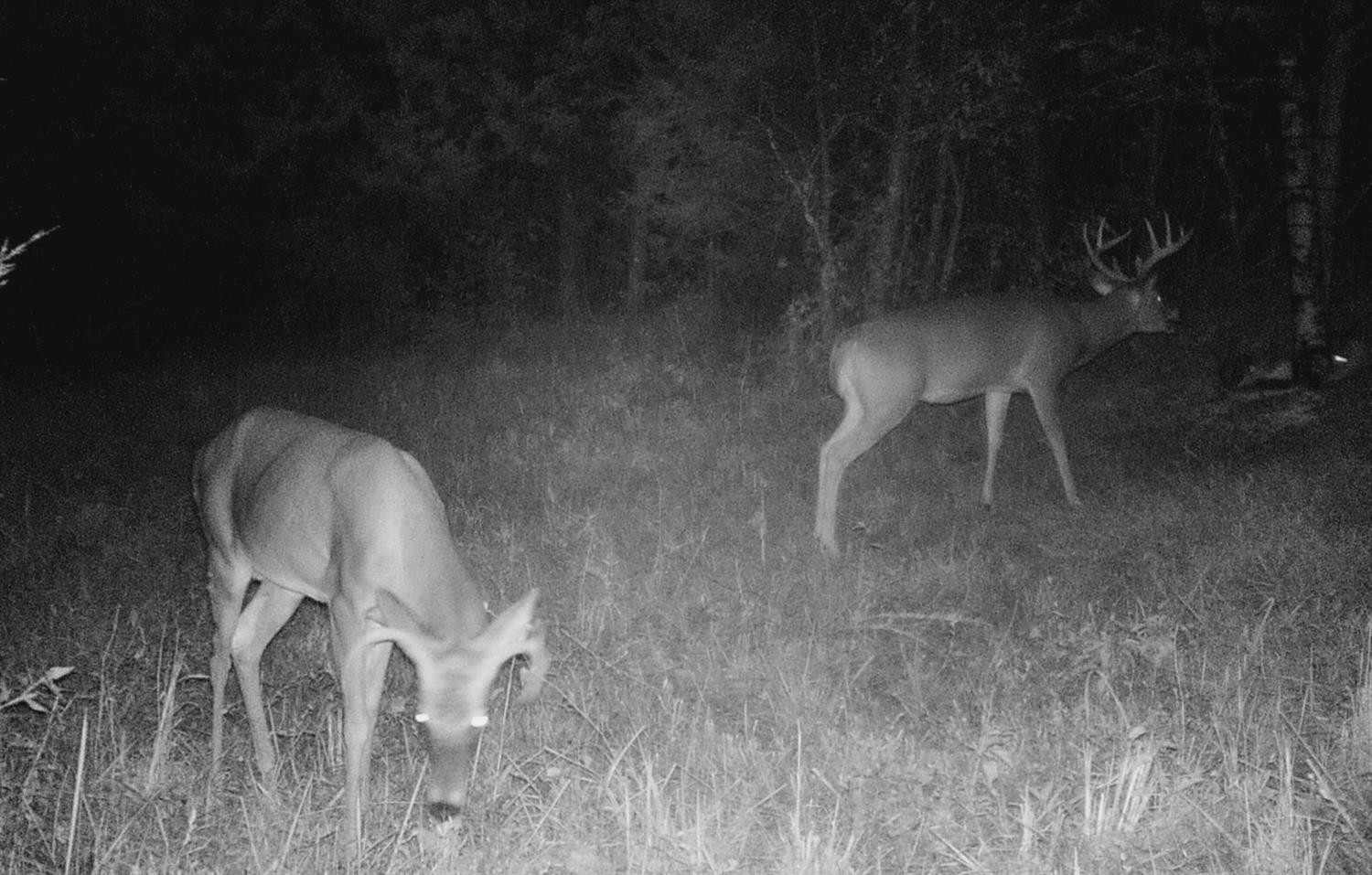 1440 Kays Road Lawrenceburg, KY 40342 - Photo 19 of 31 Photo 19