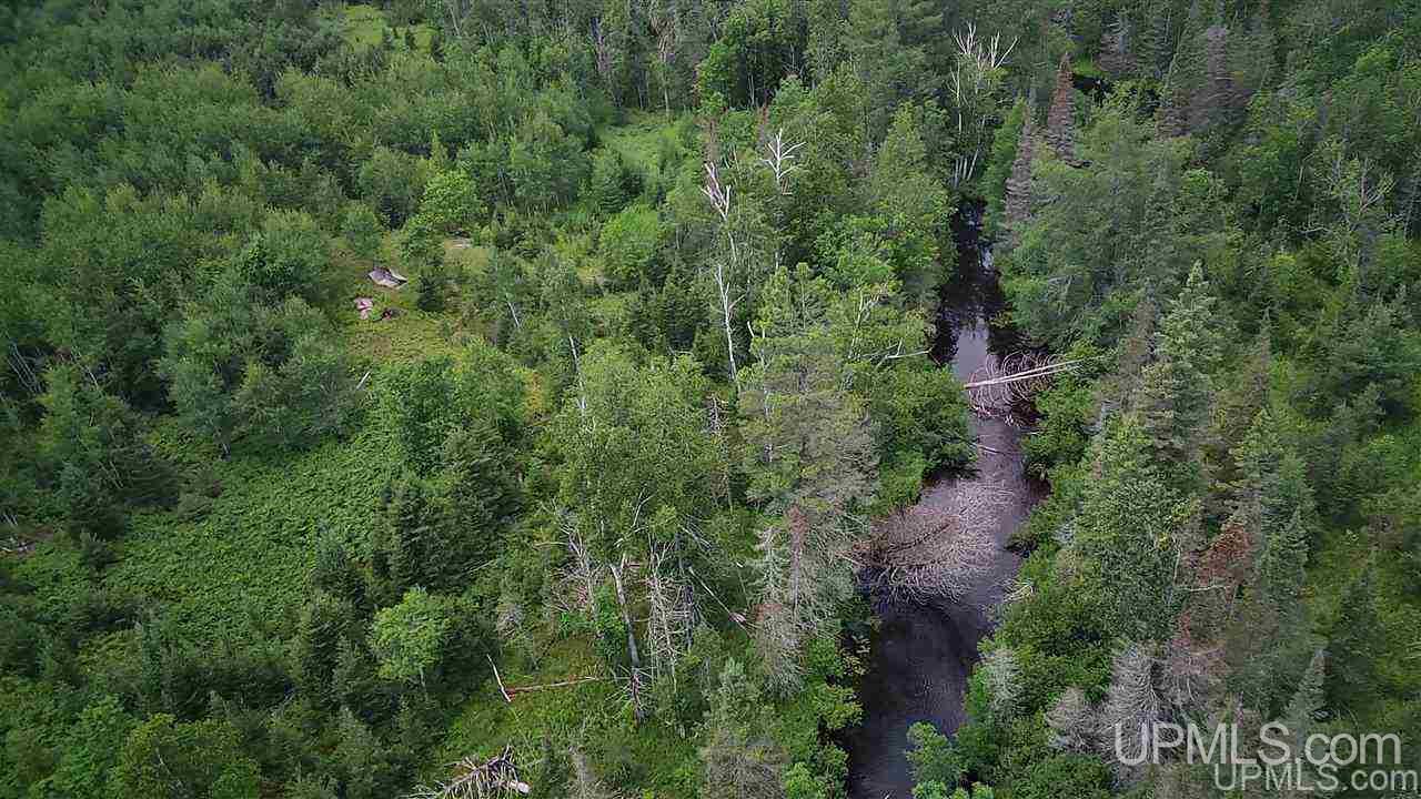 Tbd Off Nowack Road, Unit 1 Powers, MI 49874 - Photo 7 of 32