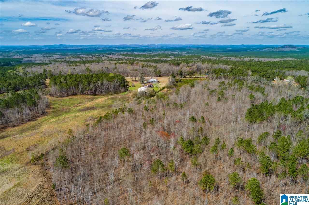 4199 Cowpens Road Alexander City, AL 35010 - Photo 31 of 50