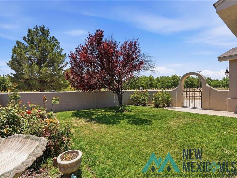 808 East Chapman Road Carlsbad, NM 88220 - Photo 6 of 55 Gallery Image 6