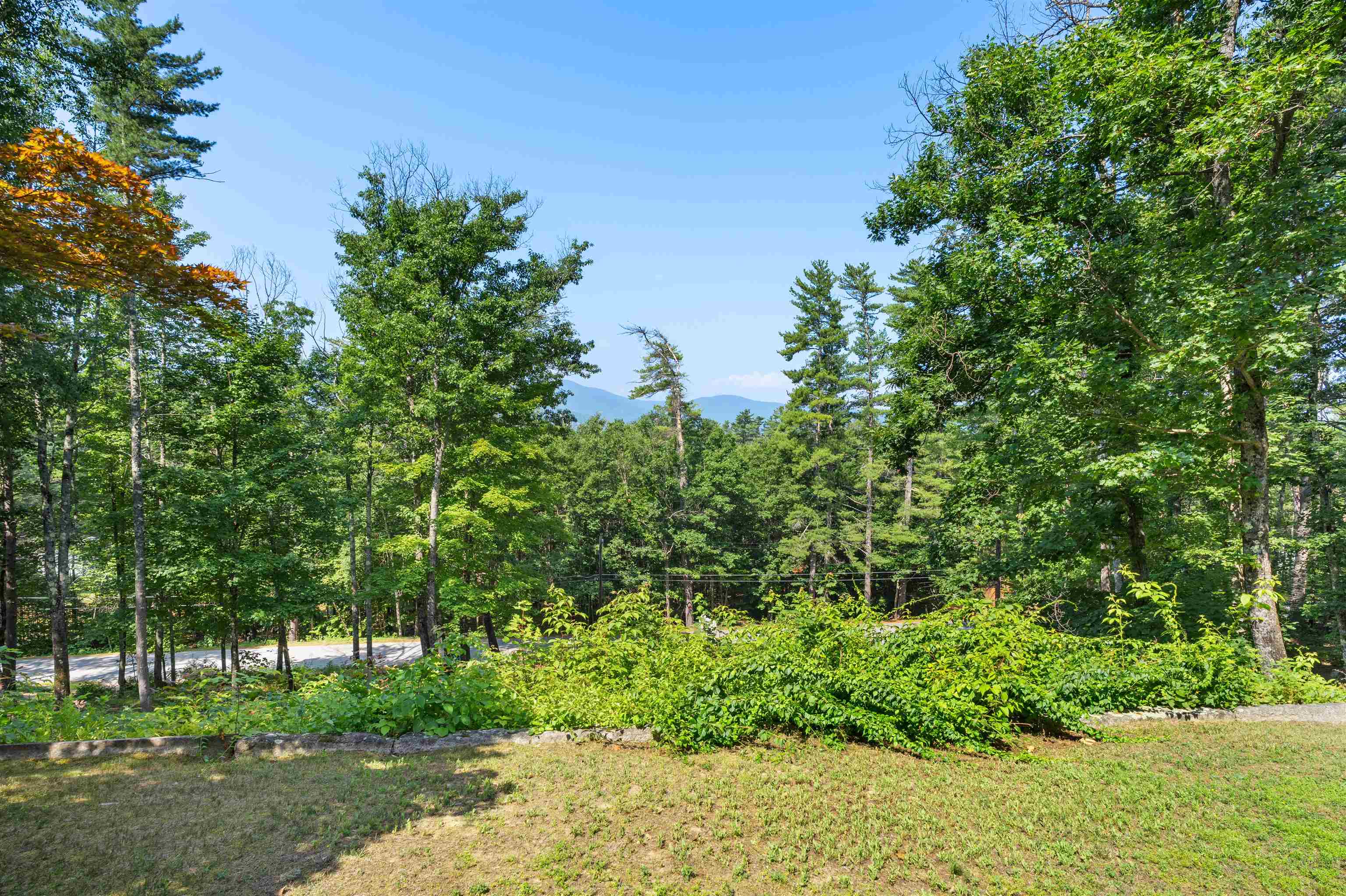 50 Drachenfels Road North Conway, NH 03860 - Photo 47 of 60